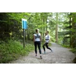 Kép 4/5 - BackGym Sports innovatív tartásjavító hátpánt