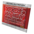 Kép 14/20 - 100% Whey Protein Professional Scitec Nutrition