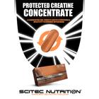 Protected Creatine Concentrate 144 kapsz. Scitec Nutrition Protected Creatine Concentrate 144 kapsz. Scitec Nutrition