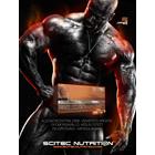 Protected Creatine Concentrate 144 kapsz. Scitec Nutrition Protected Creatine Concentrate 144 kapsz. Scitec Nutrition