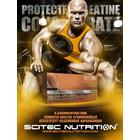 Protected Creatine Concentrate 144 kapsz. Scitec Nutrition Protected Creatine Concentrate 144 kapsz. Scitec Nutrition
