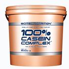 Casein Complex 100% Scitec Nutrition Casein Complex 100% Scitec Nutrition