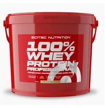 100% Whey Protein Professional 5000g vanília Scitec Nutrition